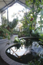 Conservatory, Pavilion Gardens