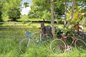 Glory Days bike hire